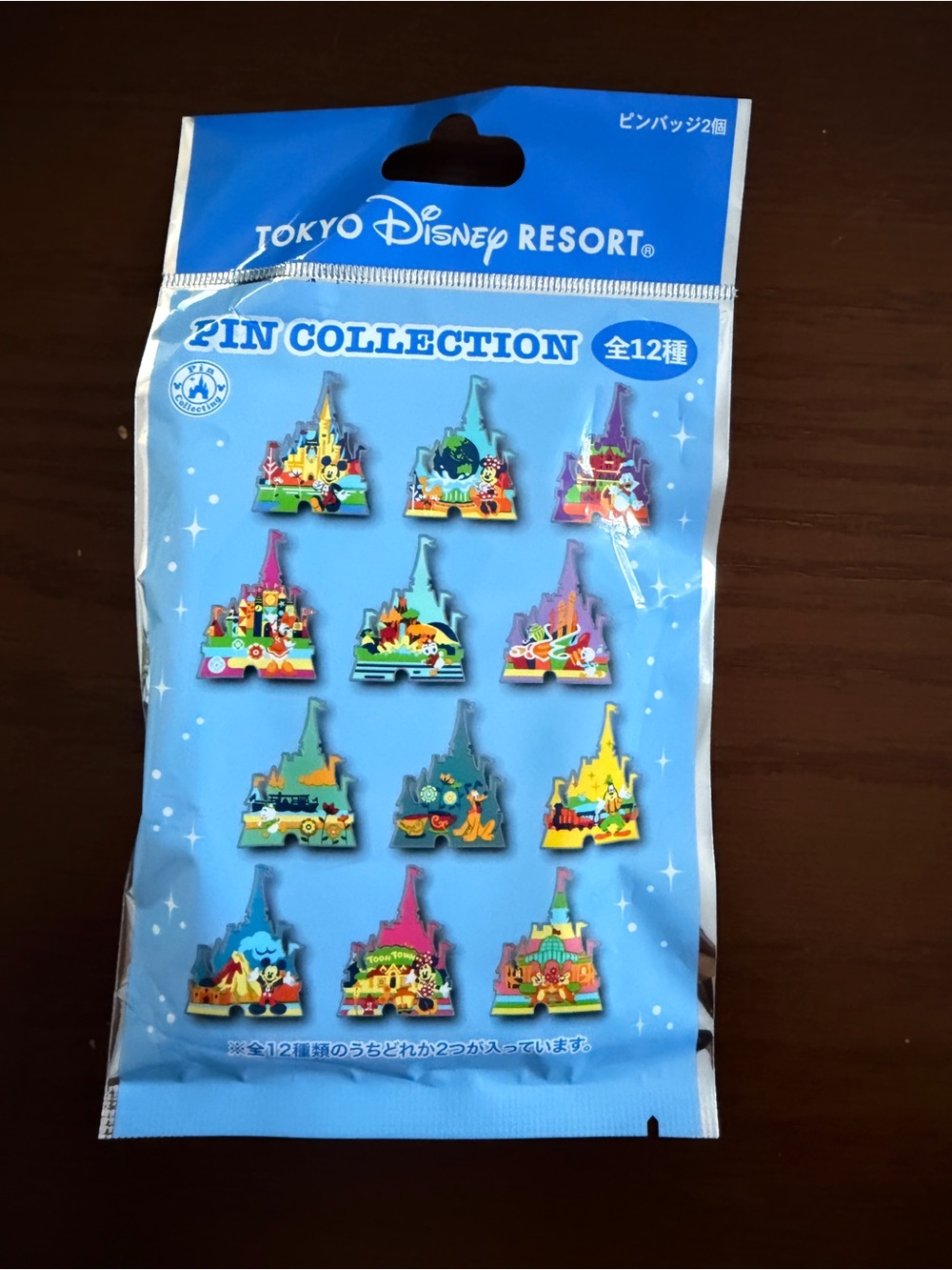 NEW! Tokyo Disney Castle Pin Collection Blind Bag (2pc). July 2026!